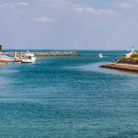 Animaux Admis - 4 Pers. - Api-1-52-2664 * Le Château-dʼOléron